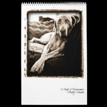 Weimaraner Nation : A Study of Weimaraners calendars