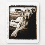 Weimaraner Nation : "Ballou's Chair" Mouse Mat