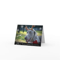 Weimaraner Nation: "Not a creature was stirring... cards by weimaranernation Weimaraner Nation: "Not a creature was stirring... cards