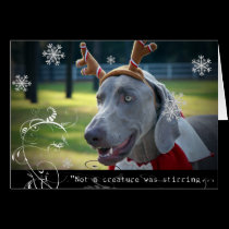Weimaraner Nation :"Not A Creature was Stirring.." cards