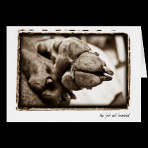 Weimaraner Nation : "The Foot Well Traveled" cards
