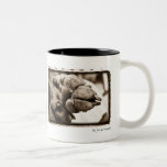 Weimaraner Nation : "The Foot Well Traveled" Mug