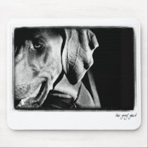 Weimaraner Nation : The Grey Ghost mousepads