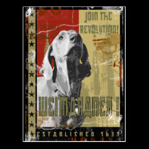Weimaraner Nation : Vintage Weimaraner! postcards