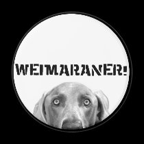 Weimaraner Nation : Weimaraner In A Box! magnets