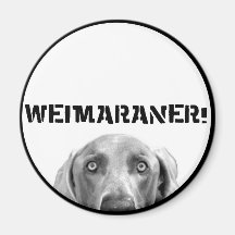 Weimaraner Nation : Weimaraner In A Box! Magnets