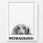Weimaraner Nation : Weimaraner In A Box! Mouse Mat