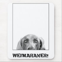 Weimaraner Nation : Weimaraner In A Box! mousepads