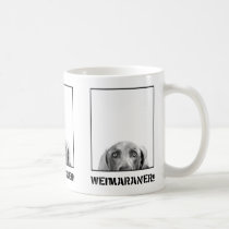 Weimaraner Nation : Weimaraner In A Box Mug mugs