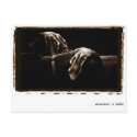 Weimaraner Nation : "Weimaraners In Shadow" postcards by weimaranernation Weimaraner Nation : "Weimaraners In Shadow" postcards