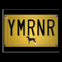 Weimaraner Nation : YMRNR License Plate postcards