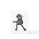 Weimaraner Note Card by bhughes1uga Weimaraner Note Card