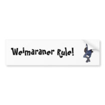 Weimaraner Rule! Bumper Sticker