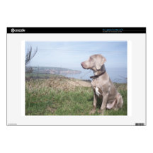 Weimaraner Skin For Laptop