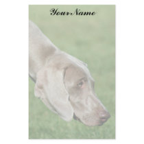 Weimaraner stationary stationery