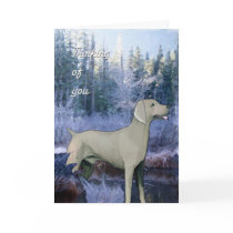 weimaraner_sympathy_card