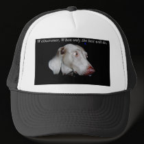 Weimaraner - The Gray Ghost hats by GingerBarritt Weimaraner - The Gray Ghost hats