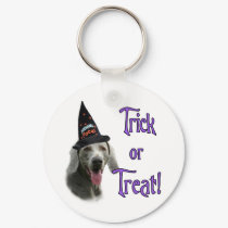 Weimaraner Trick keychains