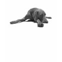 weimaraner t-shirts