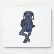 Weimaraner use Pad