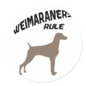 Weimaraners Rule stickers by dogsandhorses Weimaraners Rule stickers