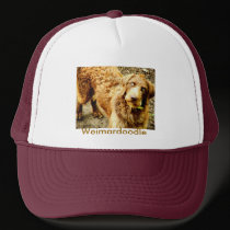 Weimardoodle hats by GingerBarritt Weimardoodle hats