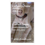 Weimeraner Dog Business Card