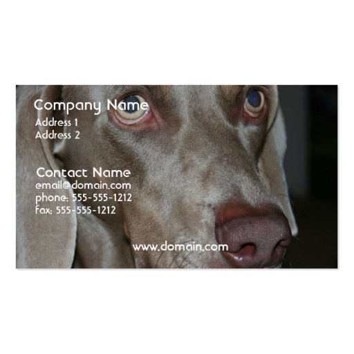 Weimeraner Dog Business Card