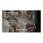 Weimeraner Dog Business Card