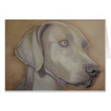 Weimeraner in Watercolour cards by pencilpetportraits Weimeraner in Watercolour cards