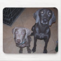 weimeraners mousepads by jojoluvschevy weimeraners mousepads