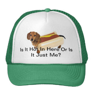 Hot Dog Hats | Zazzle