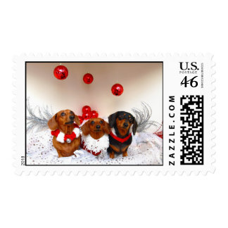 Weiner Dog Cards, Weiner Dog Card Templates, Postage, Invitations ...