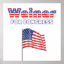 Weiner for Congress Patriotic American Flag Print