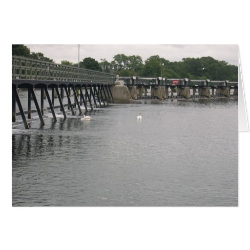 Weir With Swans, Thames River, Teddington, London, Card