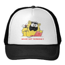 Weird Cat Hats