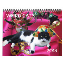 WEIRD CATS 2013 CALENDARS