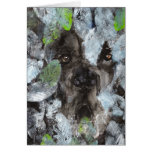 weissblatt_augen card
