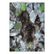 weissblatt_augen card