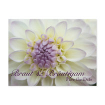 Weisse Dahlia • Save the Date Postkarte postcards