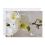 Weiße Orchidee • Save the Date Karte Custom Invitations
