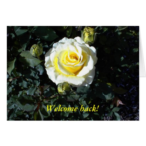 welcome-back-card-with-yellow-roses-zazzle