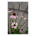 Welcome Flowers posters