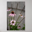 Welcome Flowers Posters