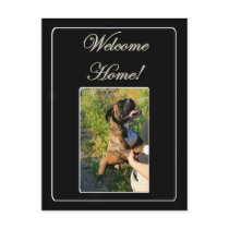 Welcome home boxer dog postcard by ritmoboxer Welcome home boxer dog postcard
