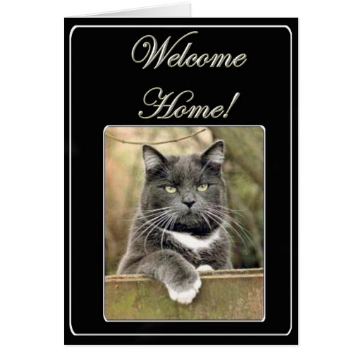 home cat greeting card Zazzle