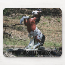 welcome  sportaloosa mousemats