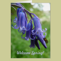 Welcome Spring! "Bluebells in England" cards
