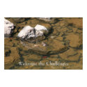 Welcome the Challenges posters