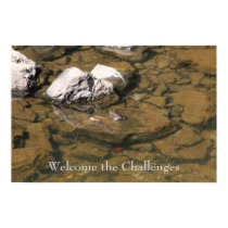 Welcome the Challenges posters
